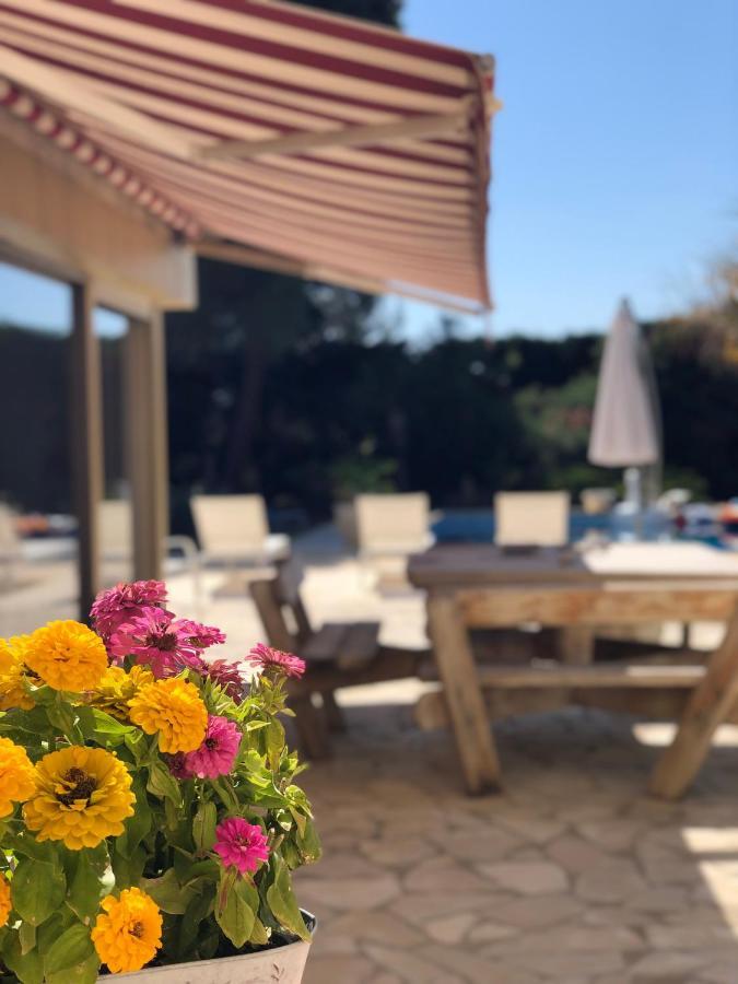 Le Paradis D'Anny Rouffiac-d'Aude Exteriör bild