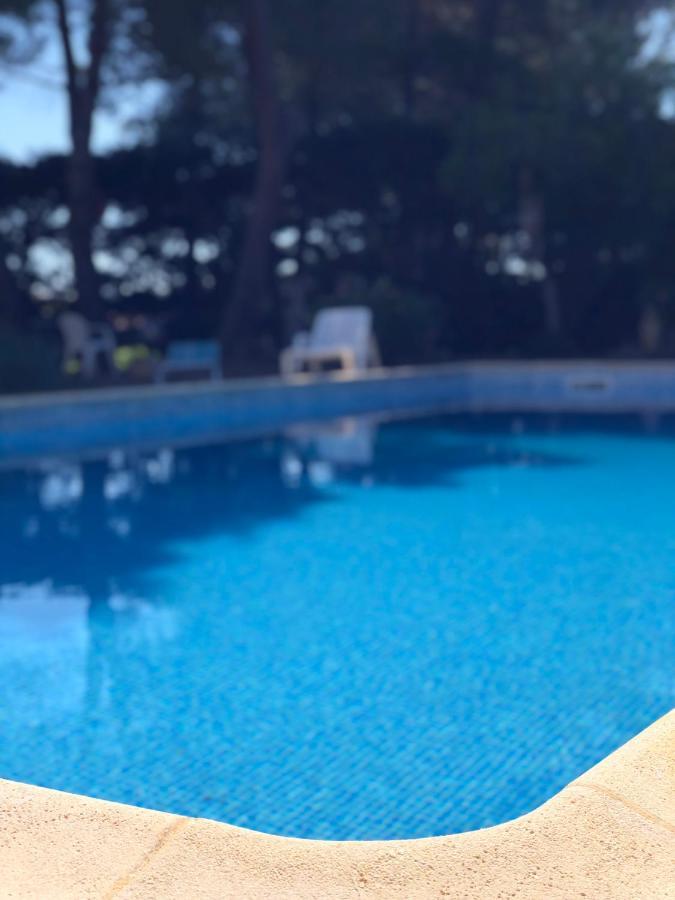 Le Paradis D'Anny Rouffiac-d'Aude Exteriör bild