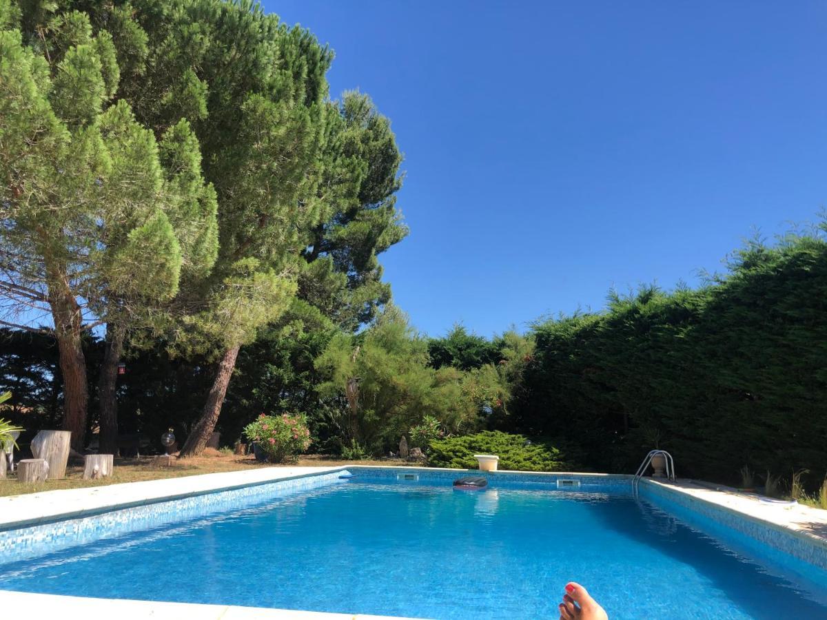 Le Paradis D'Anny Rouffiac-d'Aude Exteriör bild